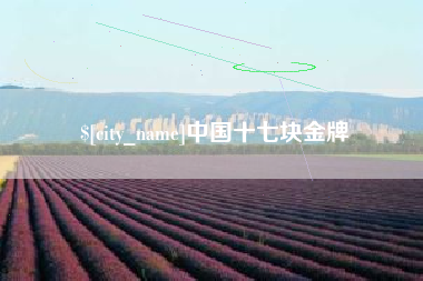 随州中国十七块金牌