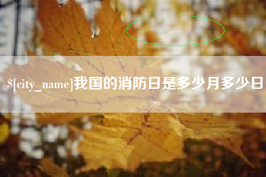 随州我国的消防日是多少月多少日