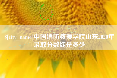 随州中国消防救援学院山东2020年录取分数线是多少