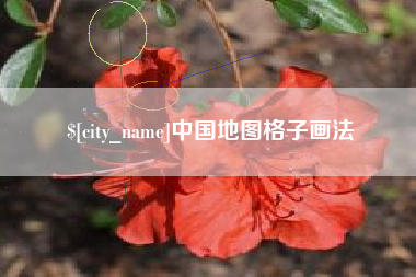 随州中国地图格子画法