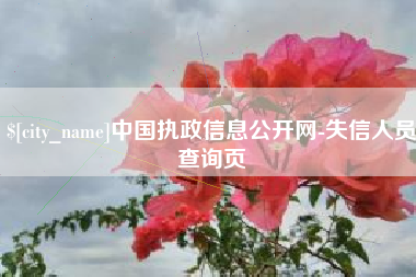 随州中国执政信息公开网-失信人员查询页