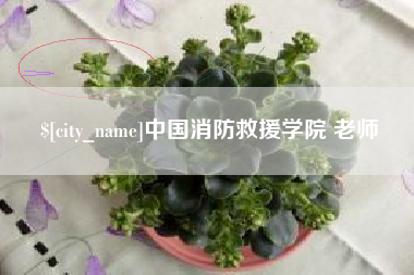 随州中国消防救援学院 老师