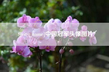 随州中国冠军头像图片