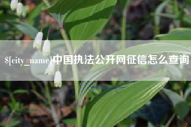 随州中国执法公开网征信怎么查询