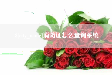 随州消防证怎么查询系统