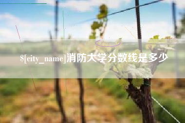 随州消防大学分数线是多少
