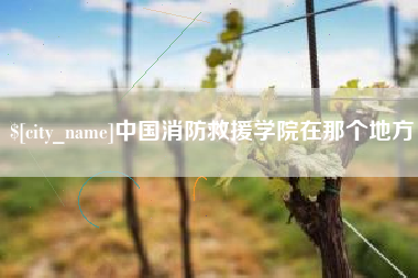 随州中国消防救援学院在那个地方