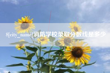 随州消防学校录取分数线是多少