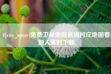 随州免费卫星地图高清村庄地图看到人实时下载