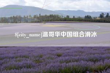 随州温哥华中国组合滑冰