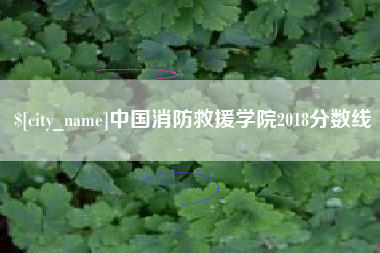 随州中国消防救援学院2018分数线