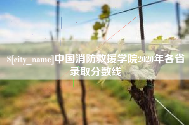 随州中国消防救援学院2020年各省录取分数线