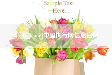 随州中国执行网信息官网