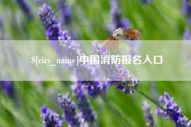 随州中国消防报名入口
