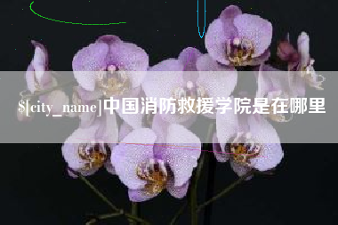 随州中国消防救援学院是在哪里
