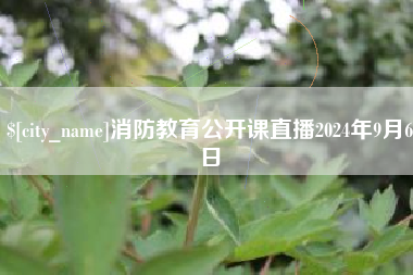 随州消防教育公开课直播2024年9月6日