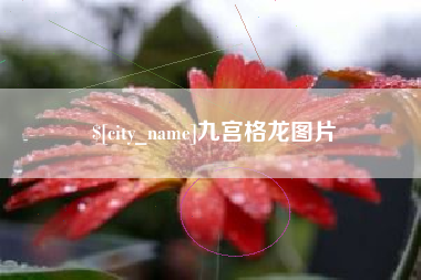 随州九宫格龙图片