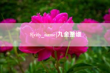 随州九金是谁