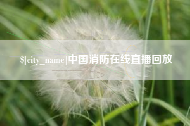 随州中国消防在线直播回放