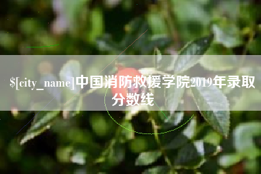 随州中国消防救援学院2019年录取分数线