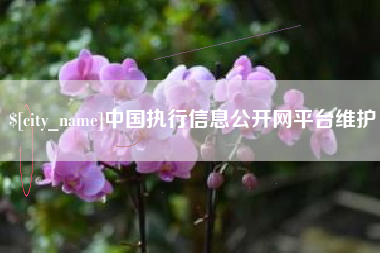 随州中国执行信息公开网平台维护