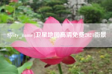 随州卫星地图高清免费2024街景