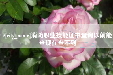 随州消防职业技能证书查询以前能查现在查不到