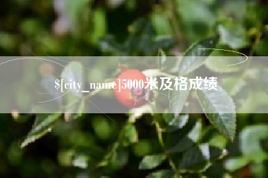 随州5000米及格成绩