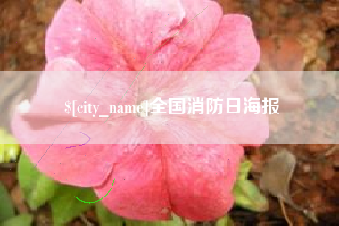 随州全国消防日海报