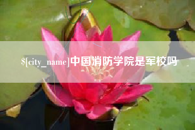 随州中国消防学院是军校吗