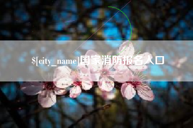 随州国家消防报名入口