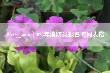 随州2025年消防员报名时间表格