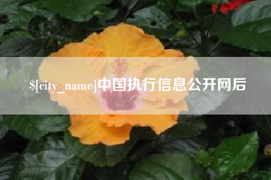 随州中国执行信息公开网后