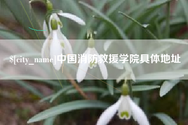 随州中国消防救援学院具体地址