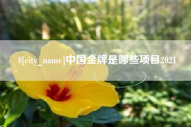 随州中国金牌是哪些项目2021