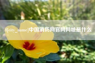 随州中国消防网官网网址是什么
