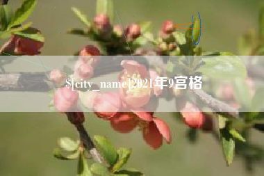 随州2021年9宫格