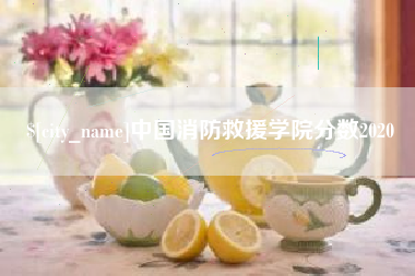 随州中国消防救援学院分数2020