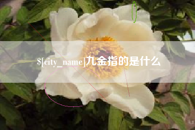 随州九金指的是什么