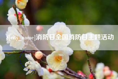 随州消防日全国消防日主题活动