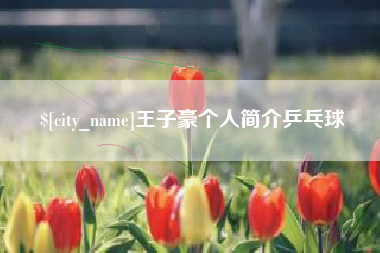 随州王子豪个人简介乒乓球