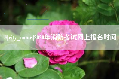 随州2020年消防考试网上报名时间