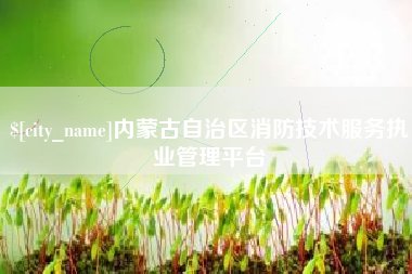 随州内蒙古自治区消防技术服务执业管理平台