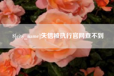 随州失信被执行官网查不到