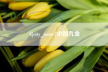 随州中国九金