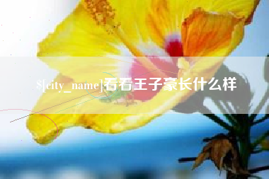 随州看看王子豪长什么样