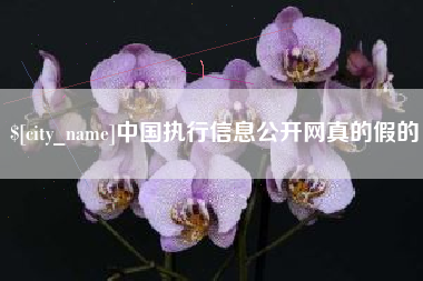 随州中国执行信息公开网真的假的