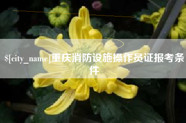随州重庆消防设施操作员证报考条件