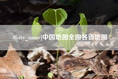 随州中国地图全图各省地图