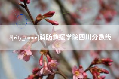 随州消防救援学院四川分数线